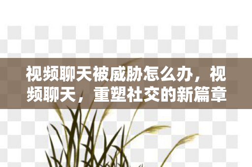 视频聊天被威胁怎么办,视频聊天,重塑社交的新篇章 视频聊天被威胁怎么办,视频聊天,重塑社交的新篇章