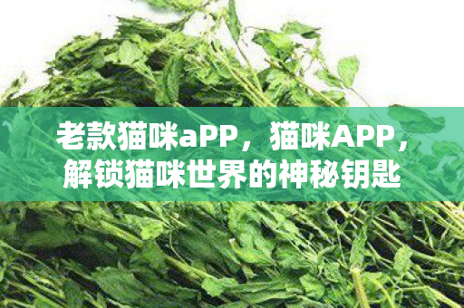 老款猫咪aPP，猫咪APP，解锁猫咪世界的神秘钥匙