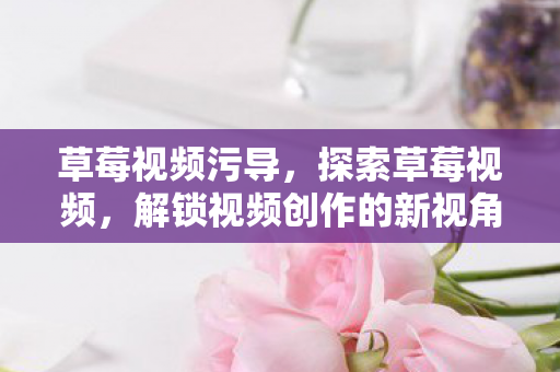 草莓视频污导，探索草莓视频，解锁视频创作的新视角