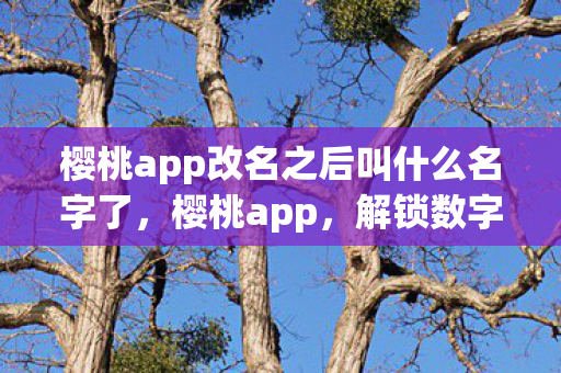 樱桃app改名之后叫什么名字了，樱桃app，解锁数字时代下的新娱乐方式