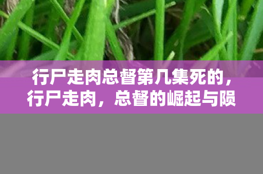 行尸走肉总督第几集死的，行尸走肉，总督的崛起与陨落