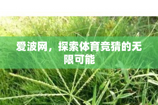 爱波网，探索体育竞猜的无限可能