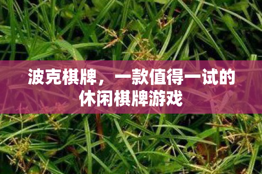 波克棋牌，一款值得一试的休闲棋牌游戏