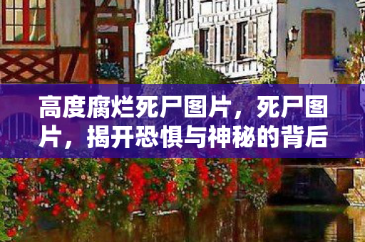 高度腐烂死尸图片，死尸图片，揭开恐惧与神秘的背后