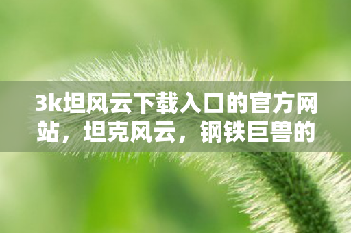 3k坦风云下载入口的官方网站，坦克风云，钢铁巨兽的战场传奇