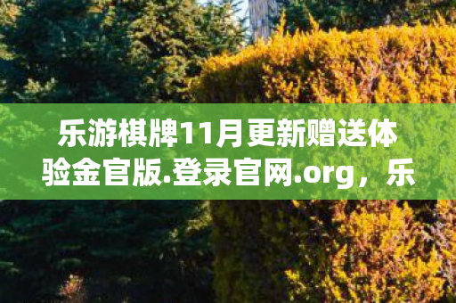 乐游棋牌11月更新赠送体验金官版.登录官网.org，乐游棋牌，一场智慧与策略的博弈
