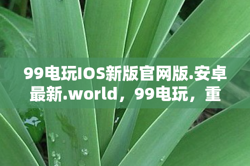 99电玩IOS新版官网版.安卓最新.world，99电玩，重温经典，探索电玩新纪元