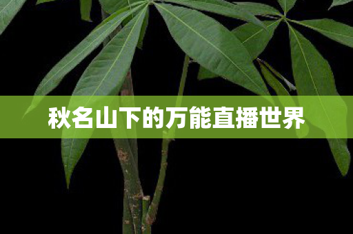 秋名山下的万能直播世界 秋名山下的万能直播世界