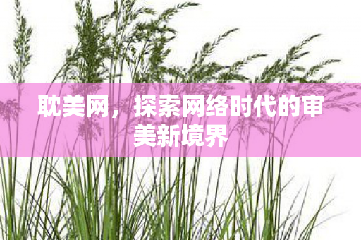 耽美网，探索网络时代的审美新境界