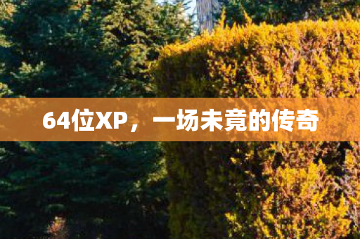 64位XP，一场未竟的传奇