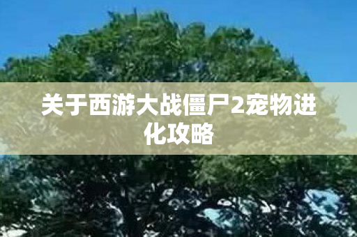 关于西游大战僵尸2宠物进化攻略 关于西游大战僵尸2宠物进化攻略