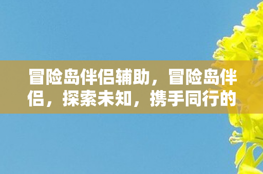 冒险岛伴侣辅助，冒险岛伴侣，探索未知，携手同行的旅程