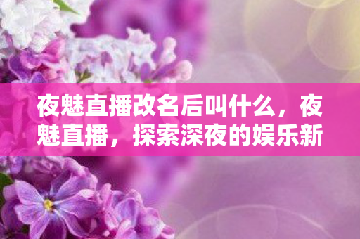 夜魅直播改名后叫什么，夜魅直播，探索深夜的娱乐新纪元