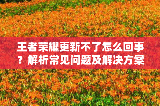 王者荣耀更新不了怎么回事?解析常见问题及解决方案 王者荣耀更新不了怎么回事?解析常见问题及解决方案