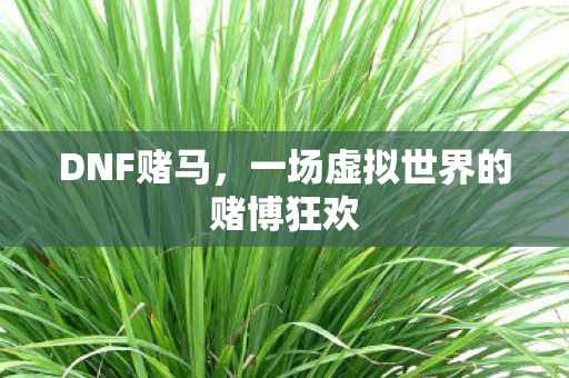 DNF赌马，一场虚拟世界的赌博狂欢