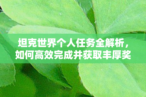 坦克世界个人任务全解析，如何高效完成并获取丰厚奖励