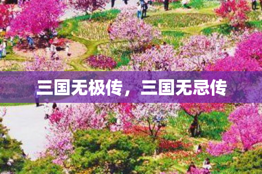 三国无极传，三国无忌传