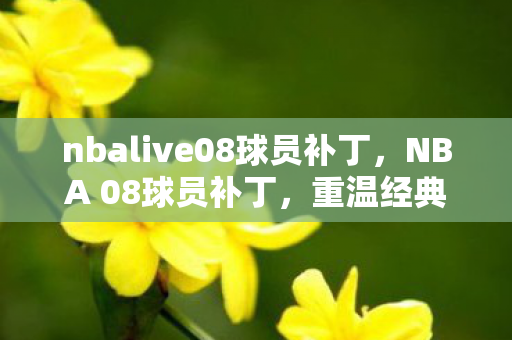 nbalive08球员补丁，NBA 08球员补丁，重温经典，重塑辉煌