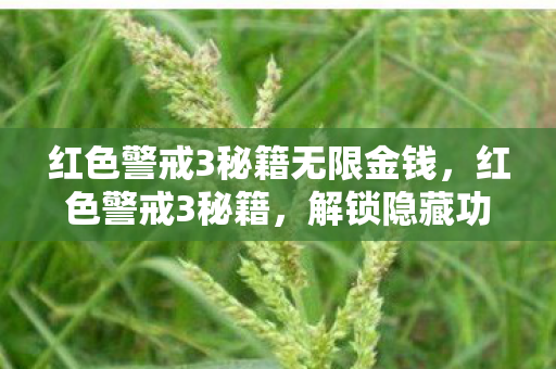 红色警戒3秘籍无限金钱，红色警戒3秘籍，解锁隐藏功能与战术