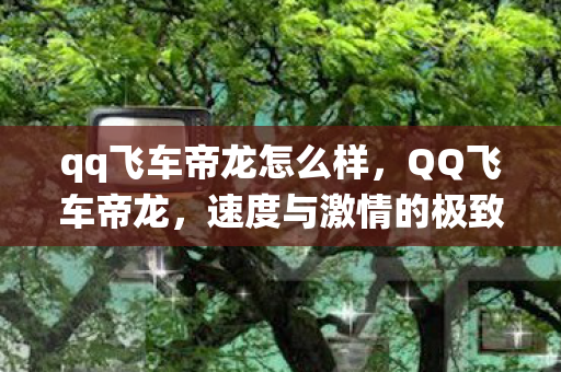 qq飞车帝龙怎么样，QQ飞车帝龙，速度与激情的极致演绎