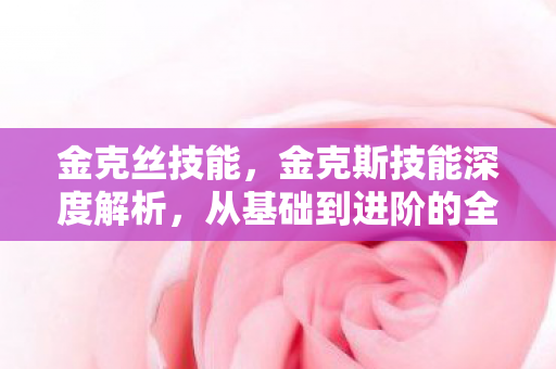 金克丝技能，金克斯技能深度解析，从基础到进阶的全面指南