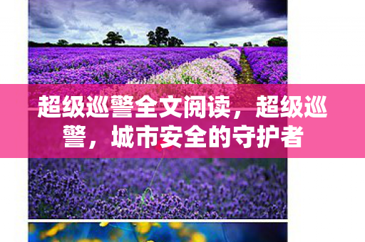超级巡警全文阅读,超级巡警,城市安全的守护者 超级巡警全文阅读,超级巡警,城市安全的守护者
