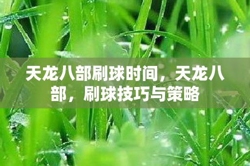 天龙八部刷球时间，天龙八部，刷球技巧与策略