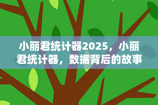 小丽君统计器2025，小丽君统计器，数据背后的故事