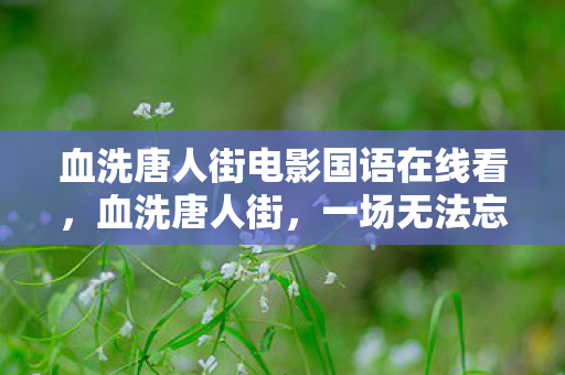 血洗唐人街电影国语在线看，血洗唐人街，一场无法忘却的伤痛