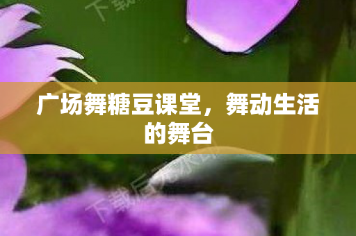 广场舞糖豆课堂，舞动生活的舞台