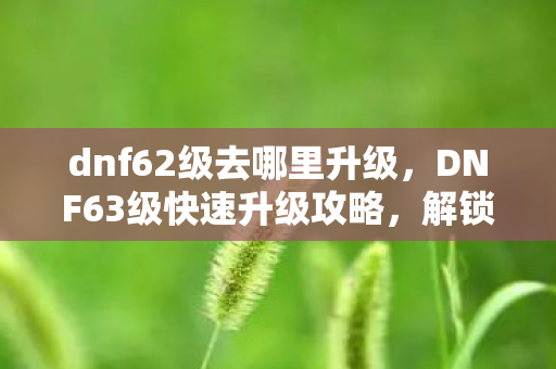 dnf62级去哪里升级，DNF63级快速升级攻略，解锁新地图，挑战更高难度