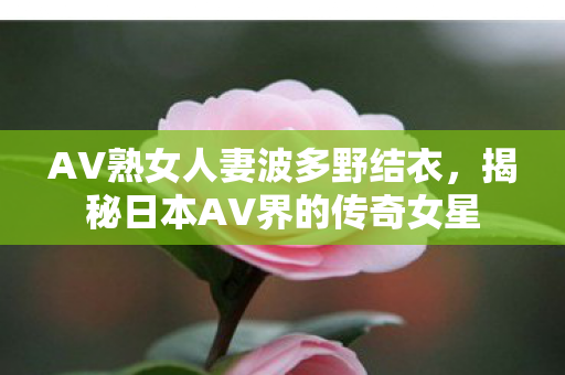 AV熟女人妻波多野结衣，揭秘日本AV界的传奇女星