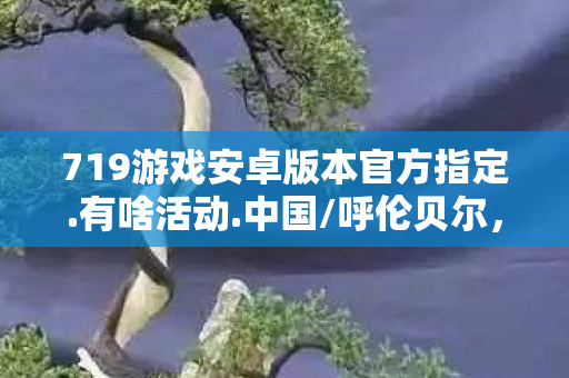 719游戏安卓版本官方指定.有啥活动.中国/呼伦贝尔，719游戏，探索未知，挑战极限
