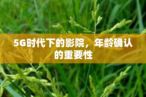 5G时代下的影院，年龄确认的重要性