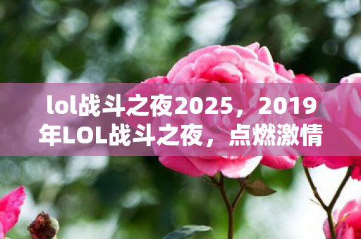 lol战斗之夜2025，2019年LOL战斗之夜，点燃激情，共赴荣耀