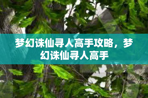梦幻诛仙寻人高手攻略，梦幻诛仙寻人高手