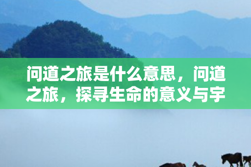 问道之旅是什么意思，问道之旅，探寻生命的意义与宇宙的奥秘