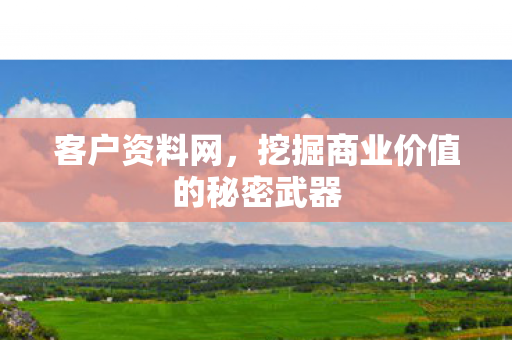 客户资料网，挖掘商业价值的秘密武器