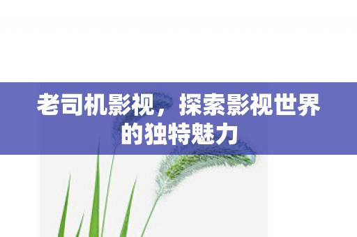 老司机影视，探索影视世界的独特魅力