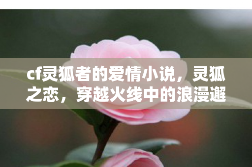 cf灵狐者的爱情小说，灵狐之恋，穿越火线中的浪漫邂逅