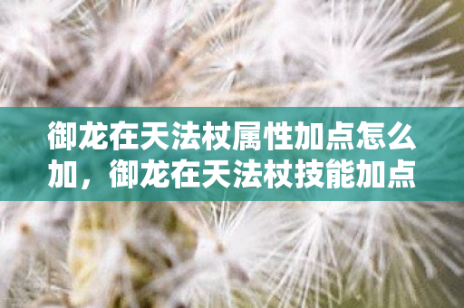 御龙在天法杖属性加点怎么加，御龙在天法杖技能加点图详解