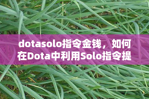 dotasolo指令金钱，如何在Dota中利用Solo指令提升个人技能