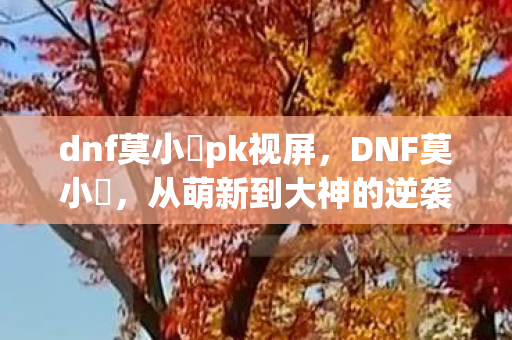 dnf莫小囧pk视屏，DNF莫小囧，从萌新到大神的逆袭之路