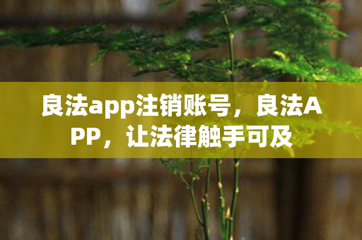 良法app注销账号，良法APP，让法律触手可及