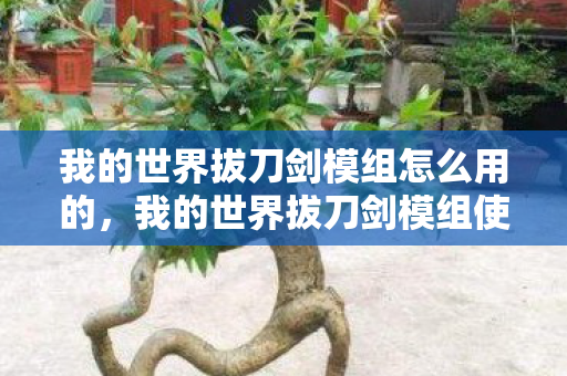 我的世界拔刀剑模组怎么用的,我的世界拔刀剑模组使用指南 我的世界拔刀剑模组怎么用的,我的世界拔刀剑模组使用指南