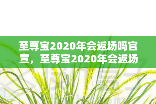 至尊宝2020年会返场吗官宣,至尊宝2020年会返场吗?揭秘王者荣耀限定皮肤未来动向 至尊宝2020年会返场吗官宣,至尊宝2020年会返场吗?揭秘王者荣耀限定皮肤未来动向