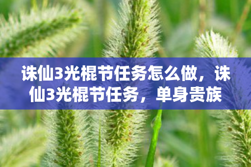 诛仙3光棍节任务怎么做，诛仙3光棍节任务，单身贵族的修仙之旅