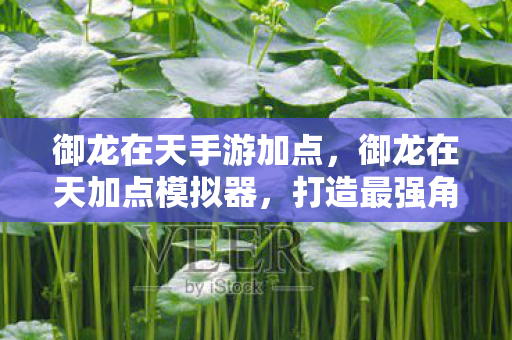 御龙在天手游加点，御龙在天加点模拟器，打造最强角色的秘密武器