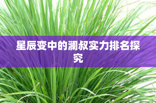 星辰变中的澜叔实力排名探究