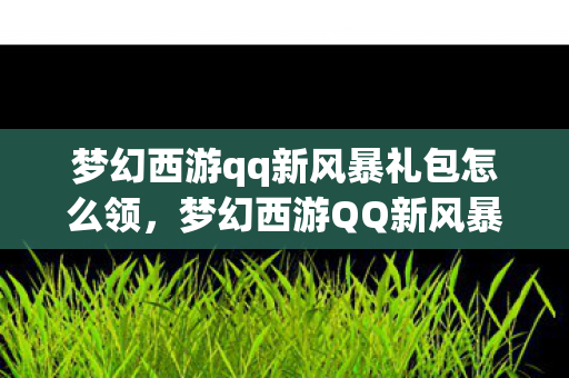 梦幻西游qq新风暴礼包怎么领，梦幻西游QQ新风暴礼包，解锁你的西游之旅
